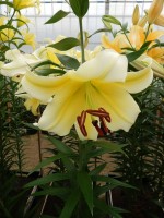 [4147 ConcaDor EVR No02.JPG]